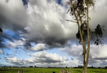 开云官网-日本网球队逆转世界网球队，梅德韦杰夫制霸全场