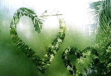 开云官网-日本网球队逆转世界网球队，梅德韦杰夫制霸全场