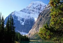 开云体育在线-西班牙男篮爆冷击败芝加哥公牛,布克刷新历史纪录引发篮球热潮