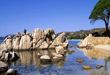 开云体育在线-西班牙男篮爆冷击败芝加哥公牛，布克刷新历史纪录引发篮球热潮