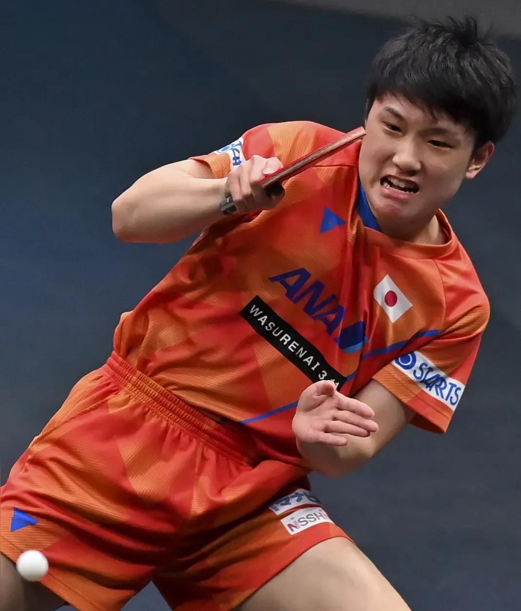 瑞典队绝杀英格兰队，张本智和点燃赛场的简单介绍