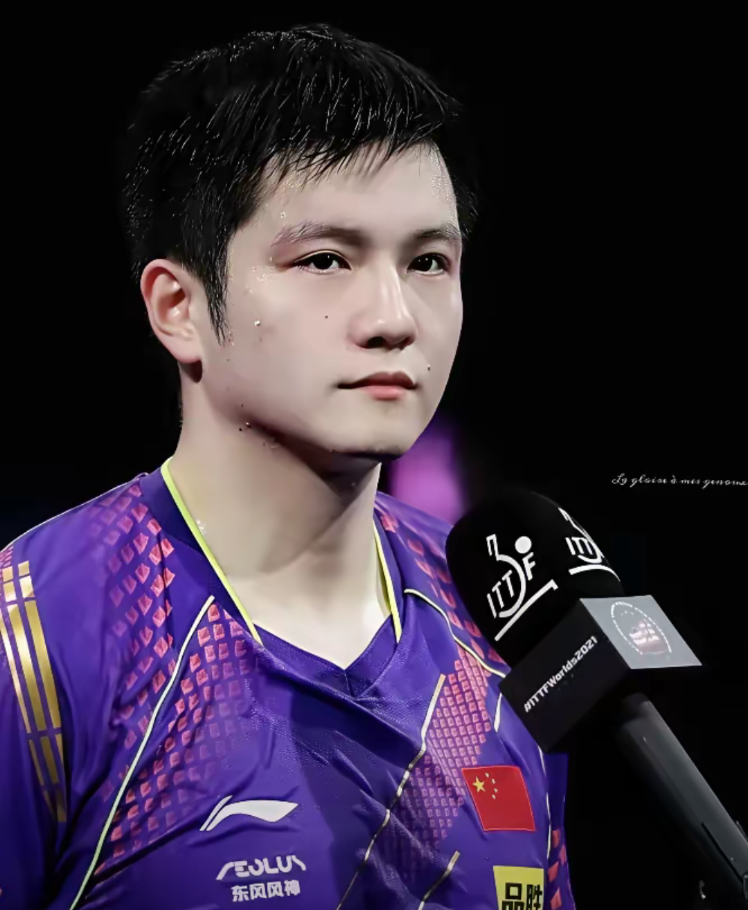 法国队险胜奥地利队，樊振东状态火热的简单介绍